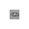 Newport Brass 3/4 Inch Thermostatic Rough-In Valve with Built-In Check Valves with Service Stops 2 Newport Brass 3/4 Inch Thermostatic Rough-In Valve with Built-In Check Valves with Service Stops -Shower Valves Sales 1548